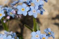 2026_06_Sextener_Dolomiten-43
