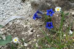 2026_06_Sextener_Dolomiten-66
